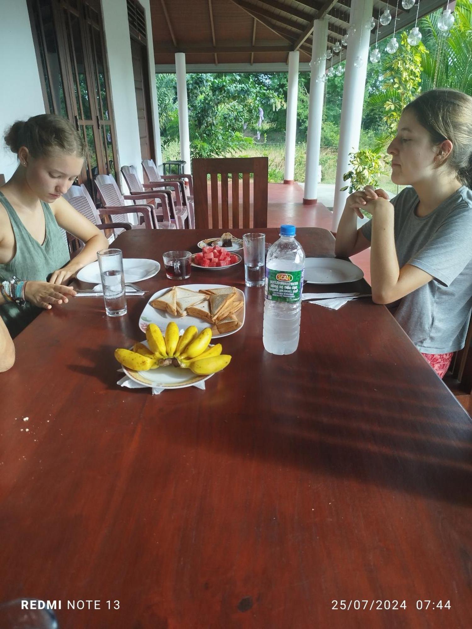 Wilpattu Gagana Guest *